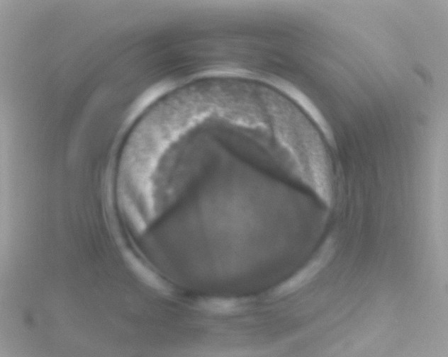 X0000115041245200911231126