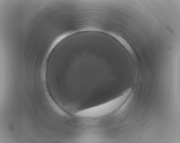 X0000115041246200911231126