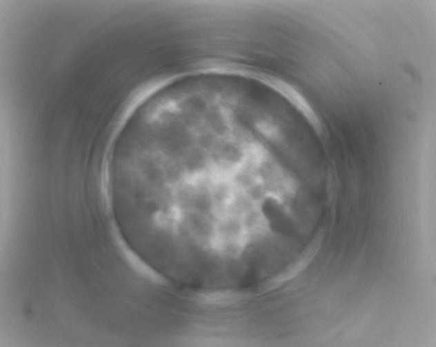 X0000115041247200911231126