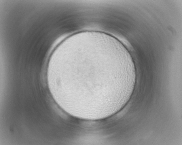 X0000115041248200911231126