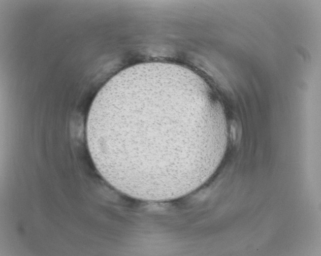 X0000115041251200911231125