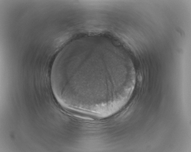 X0000115041252200911231125