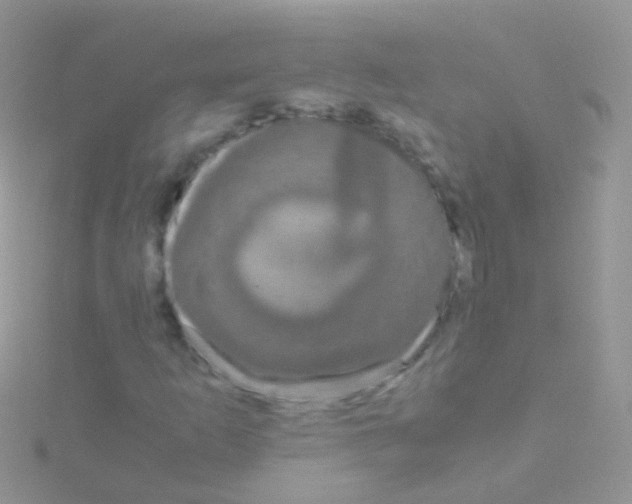 X0000115041253200911231125