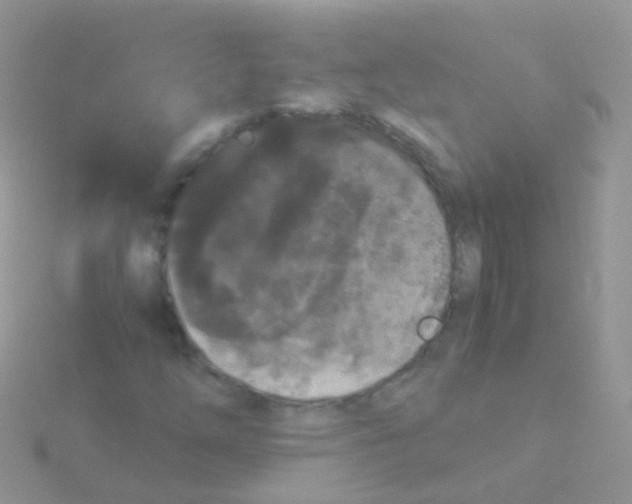 X0000115041254200911231125