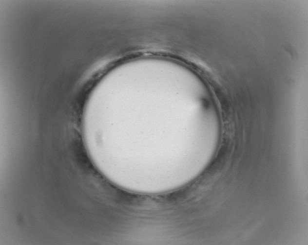 X0000115041255200911231125