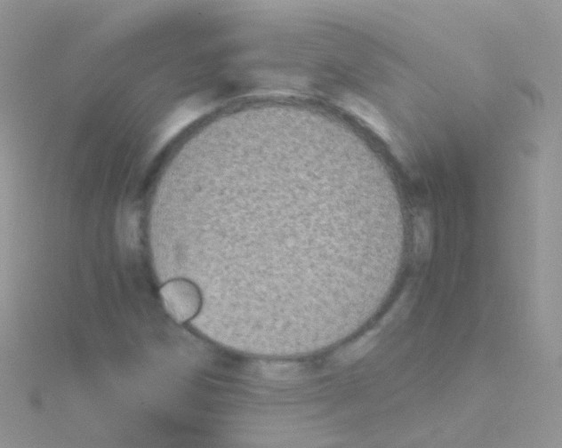 X0000115041258200911231125