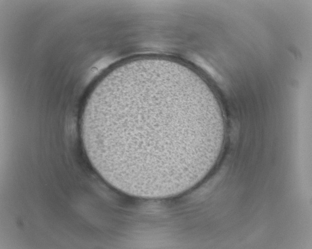 X0000115041259200911231125