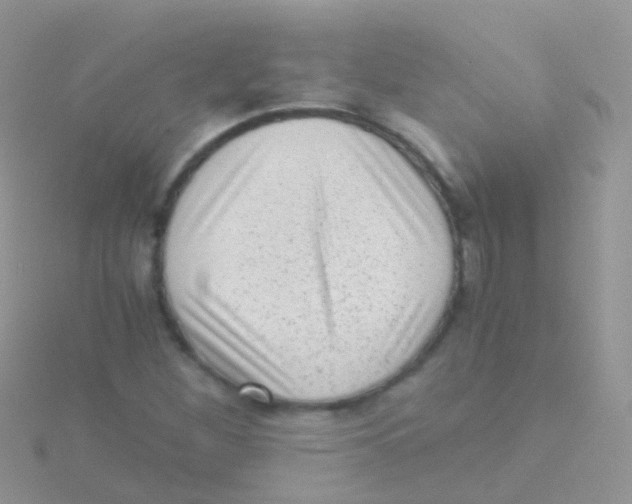 X0000115041260200911231125