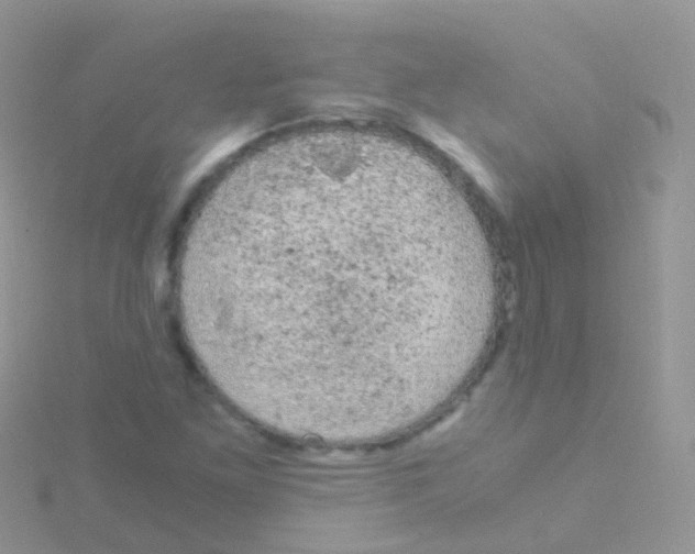 X0000115041261200911231125