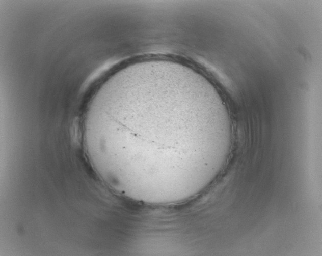 X0000115041262200911231125