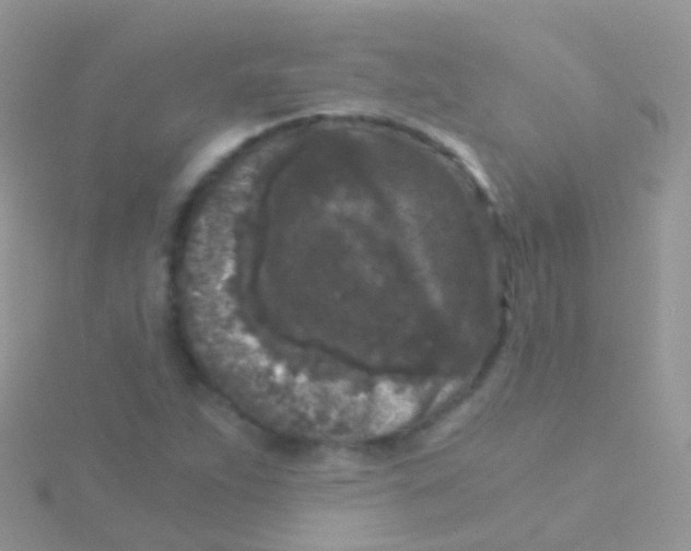 X0000115041263200911231125