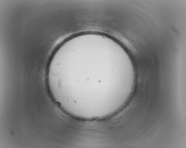 X0000115041264200911231125