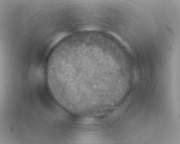 X0000115041266200911231125