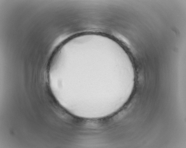 X0000115041267200911231125