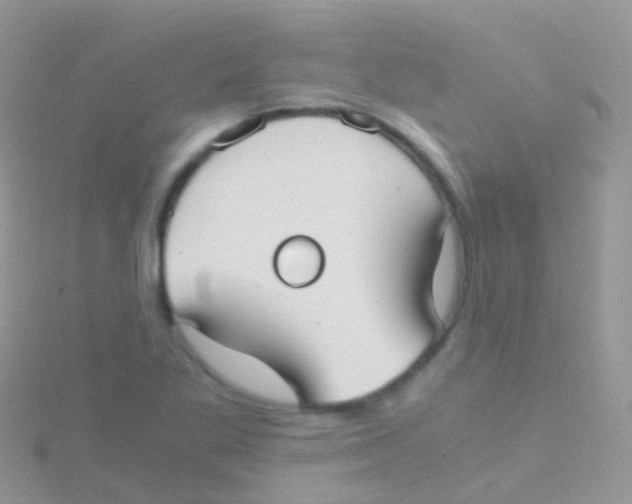 X0000115041269200911231125