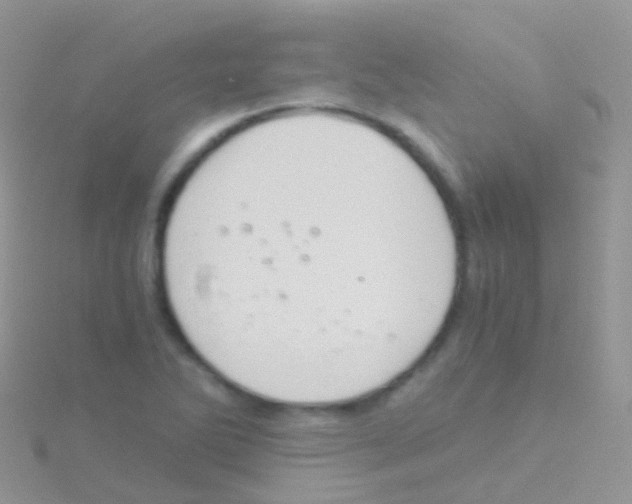 X0000115041270200911231125