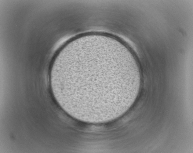 X0000115041271200911231125