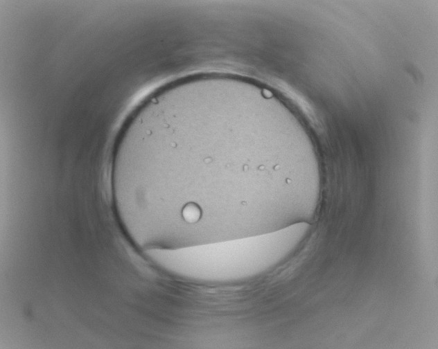 X0000115041272200911231125