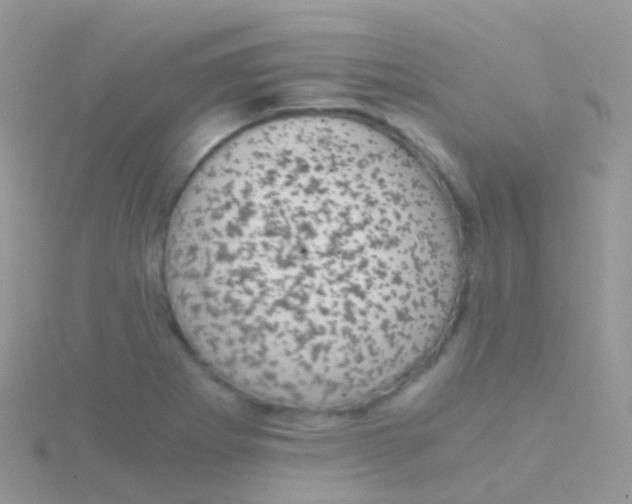 X0000115041273200911231125