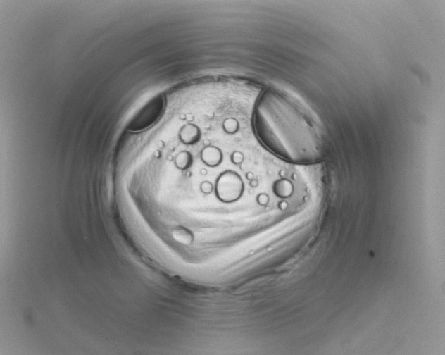 X0000115041274200911231125