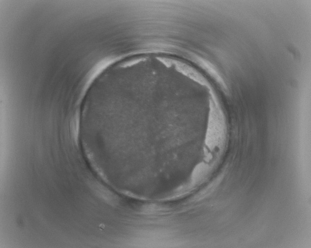 X0000115041275200911231125