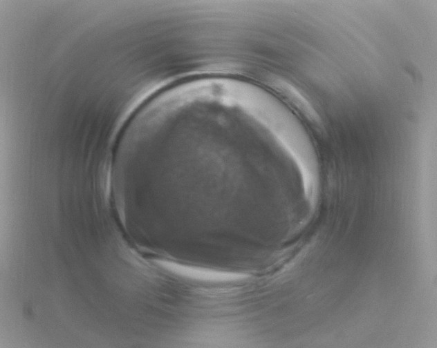 X0000115041276200911231125