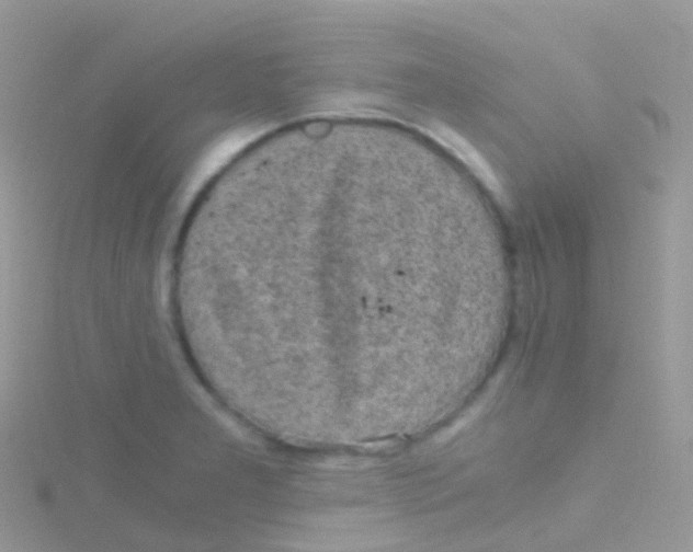 X0000115041277200911231125