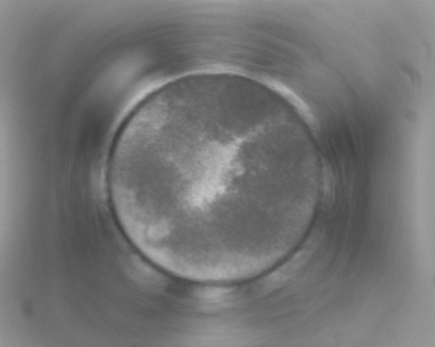 X0000115041278200911231125