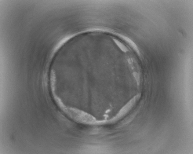 X0000115041279200911231125