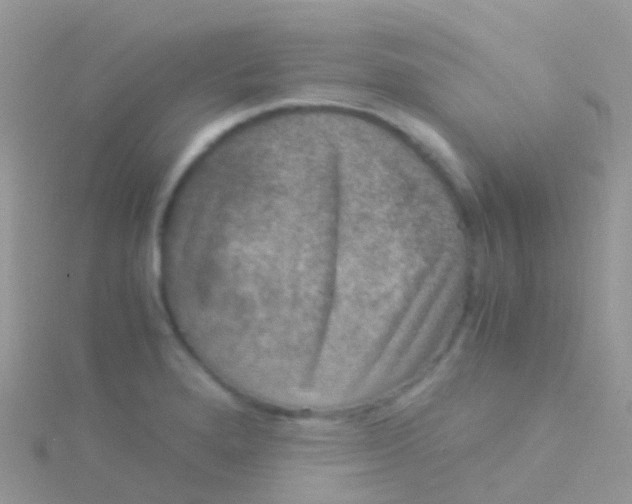 X0000115041280200911231125