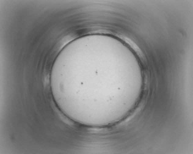 X0000115041281200911231125