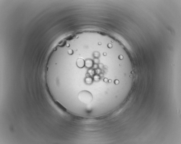 X0000115041282200911231125