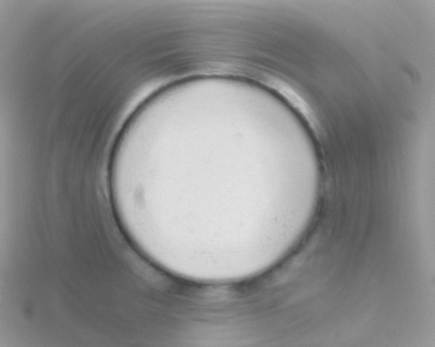 X0000115041283200911231125