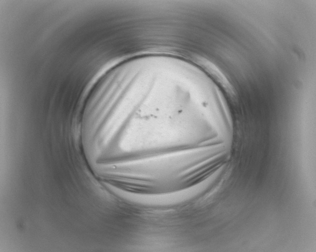 X0000115041284200911231125