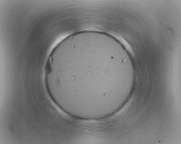 X0000115041285200911231125