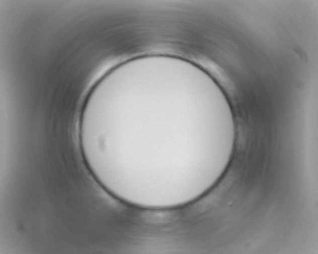 X0000115041286200911231125