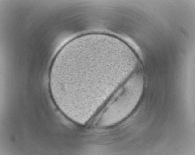 X0000115041287200911231125