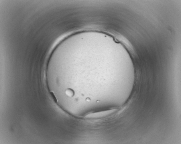 X0000115041288200911231125