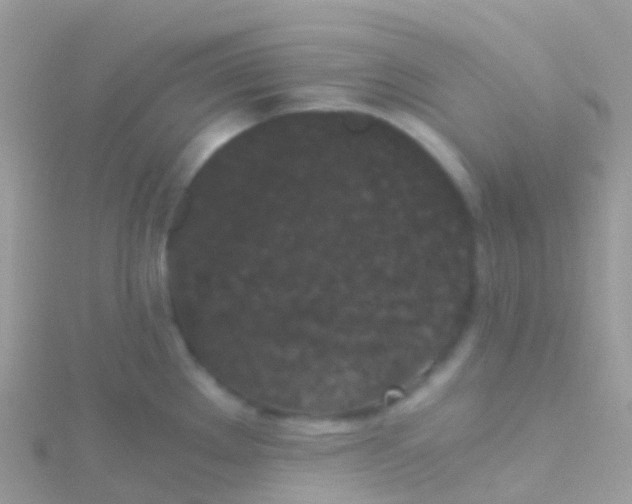 X0000115041289200911231125