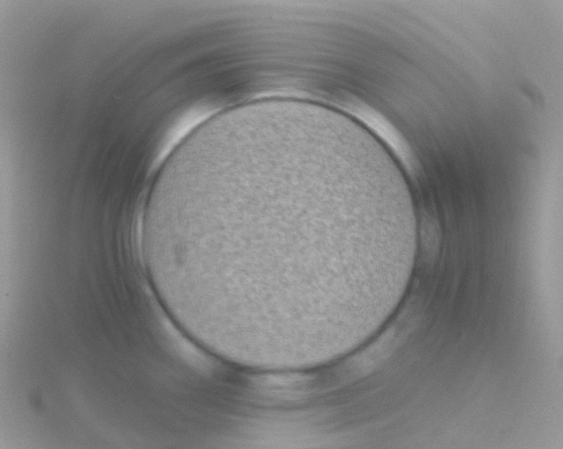 X0000115041290200911231125