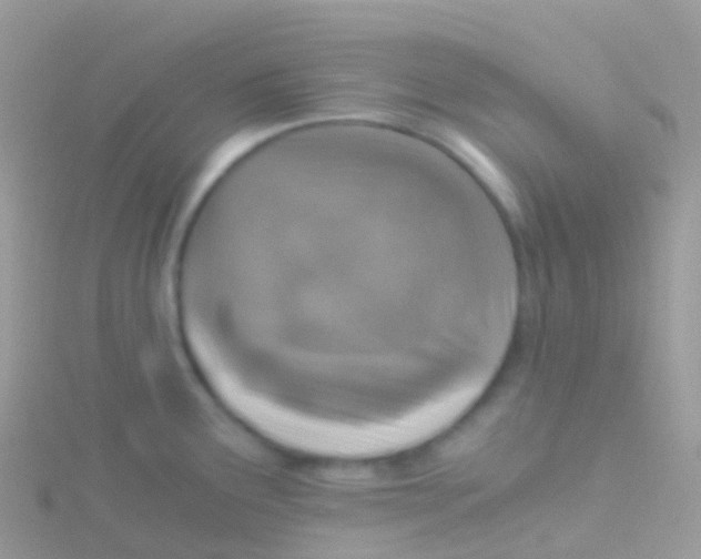 X0000115041291200911231125