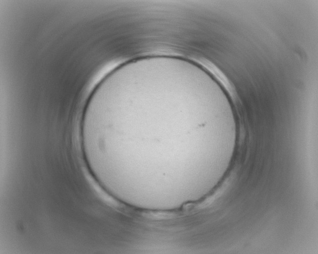 X0000115041293200911231125