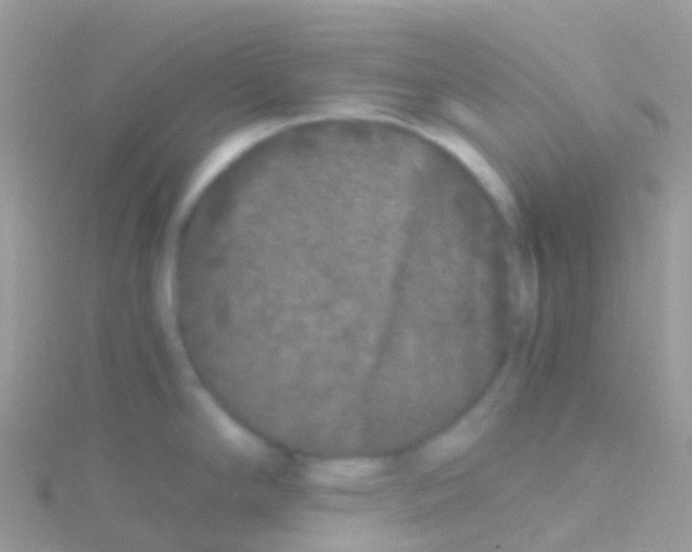 X0000115041294200911231125