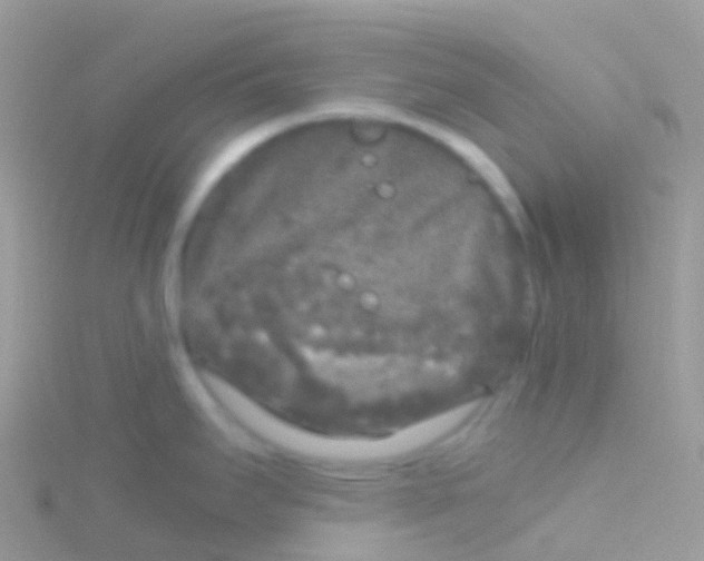 X0000115041295200911231125