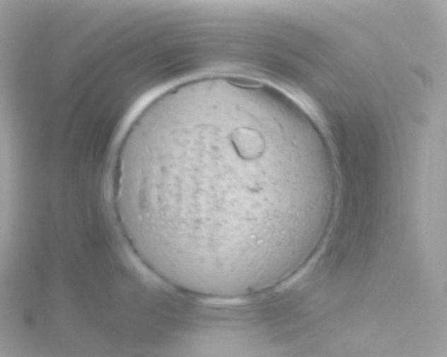 X0000115041296200911231125