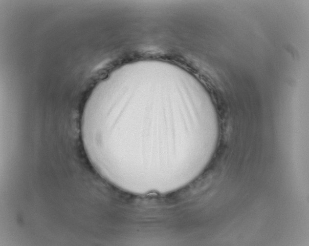 X0000115041301200911231124