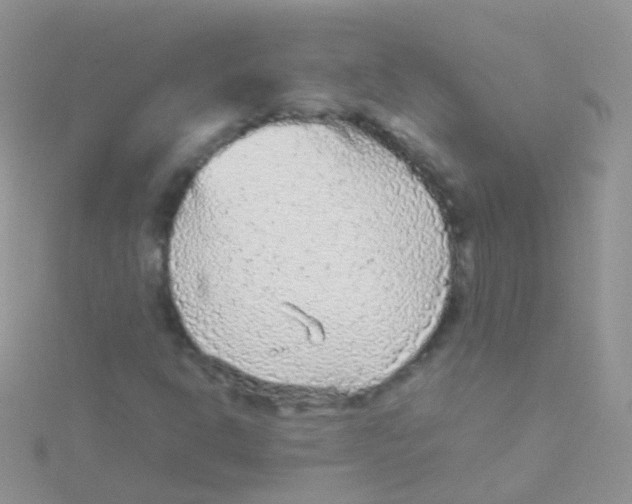 X0000115041302200911231124