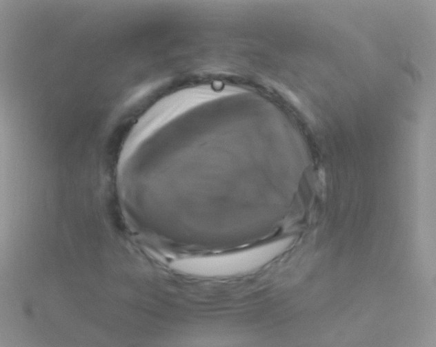 X0000115041303200911231124