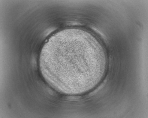 X0000115041305200911231124