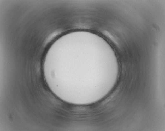 X0000115041307200911231124